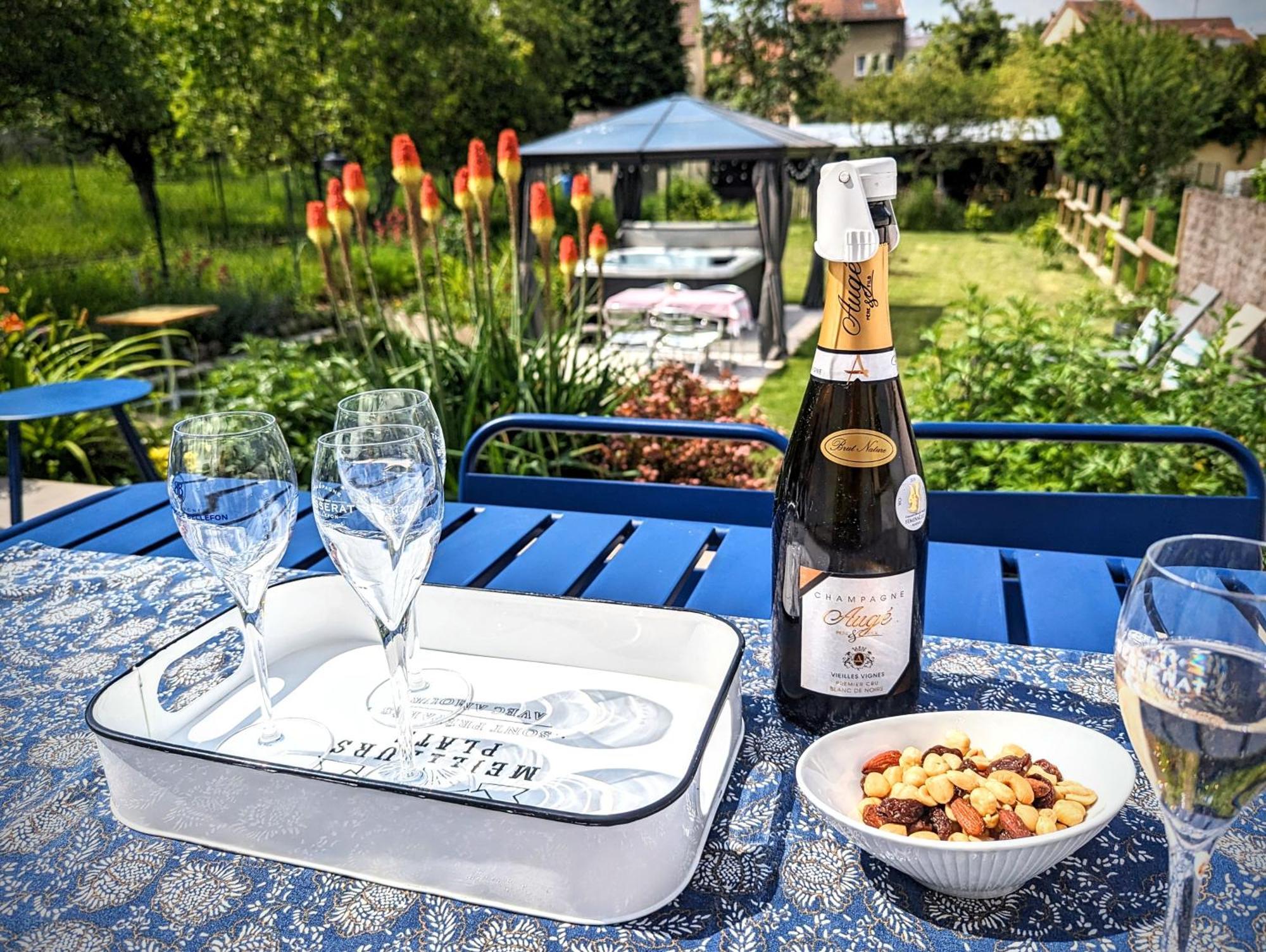 Le Cemarose: Spa, Jardin, Terrasse Et Jolie Vue Au Coeur D'Epernay Exterior photo
